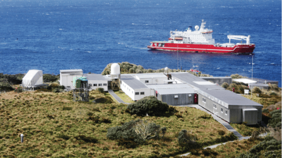 Gough Island Restoration Programme – do you want to be part of the team?