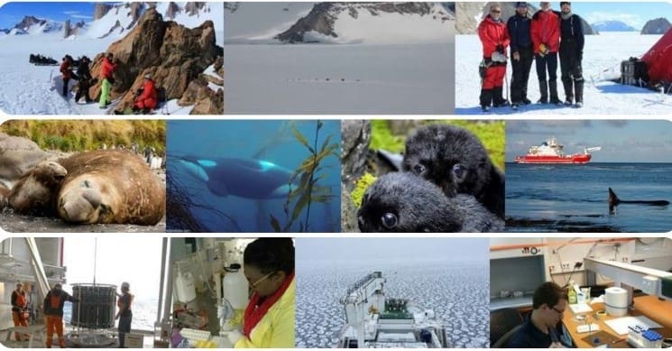 Research and Research Funding opportunities 2020