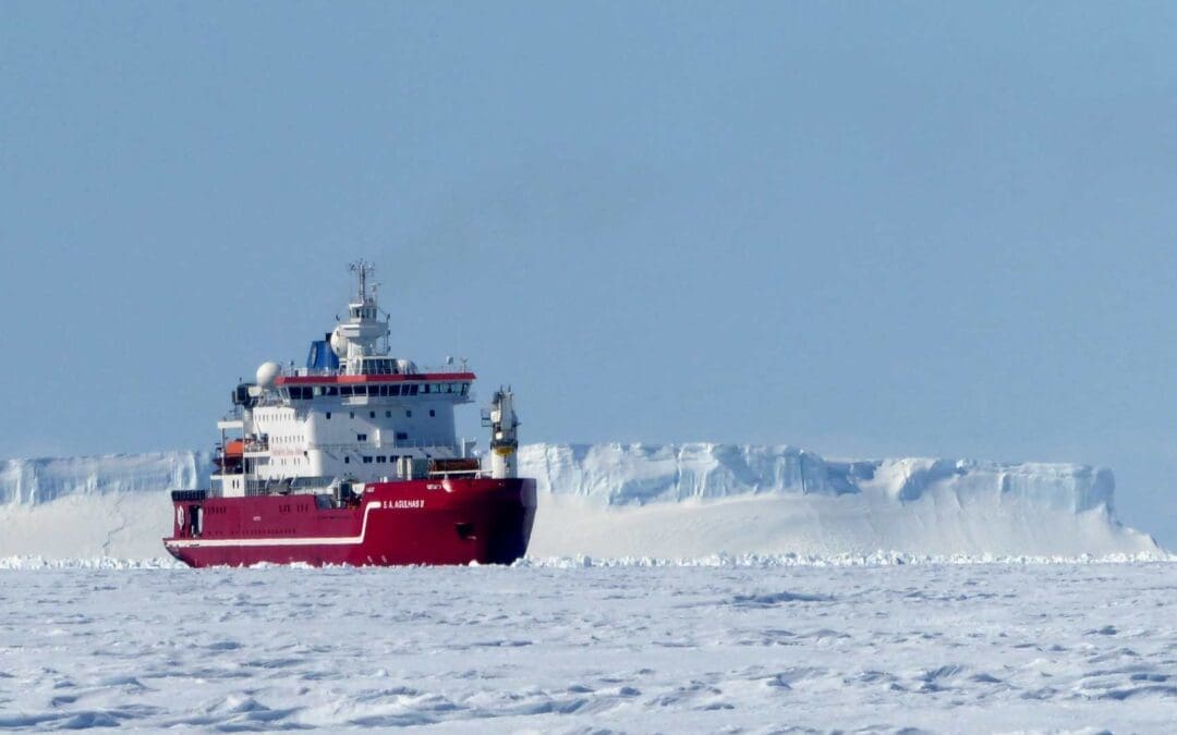 Early Career Opportunity with Weddell Sea Working Group