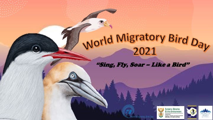 World Migratory Bird Day 2021