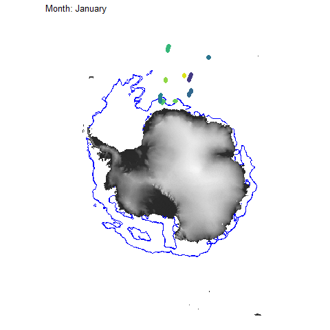 SANAP Research Project  – Ross Seals in a Changing Environment